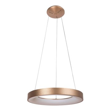 Rabalux - LED Lustra ar auklu CARMELLA LED/50W/230V d. 60 cm