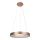 Rabalux - LED Lustra ar auklu CARMELLA LED/50W/230V d. 60 cm