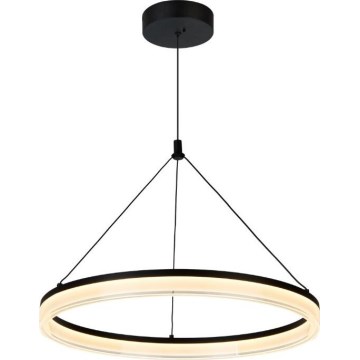 Rabalux - LED lustra uz kabeļa ar regulējamu spilgtumu LED/24W/230V 3000-6500K + ar tālvadības pulti