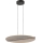 Rabalux - LED lustra uz troses LED/24W/230V 3000K