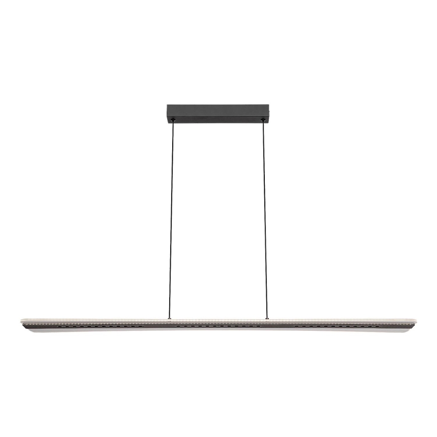 Rabalux - LED lustra uz troses LED/40W/230V 3000K