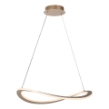Rabalux - LED lustra uz troses LED/40W/230V 3000K