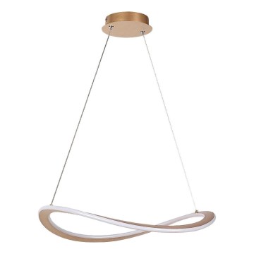 Rabalux - LED lustra uz troses LED/40W/230V 3000K