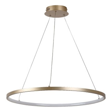 Rabalux - LED lustra uz troses LED/55W/230V 3000K