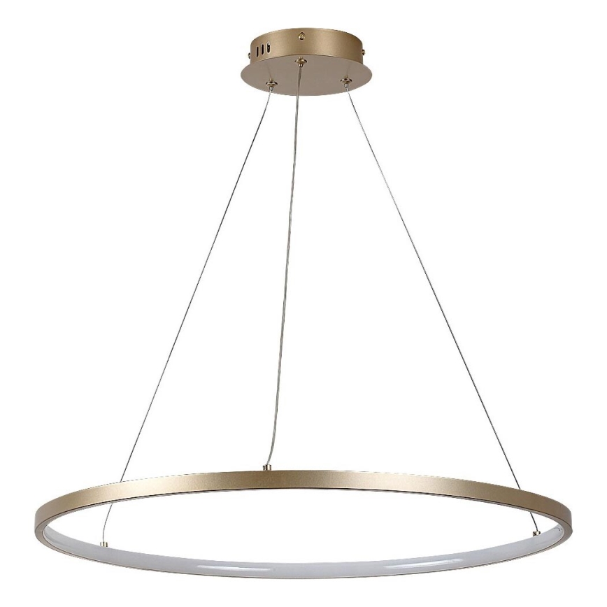 Rabalux - LED lustra uz troses LED/55W/230V 3000K