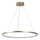 Rabalux - LED lustra uz troses LED/55W/230V 3000K
