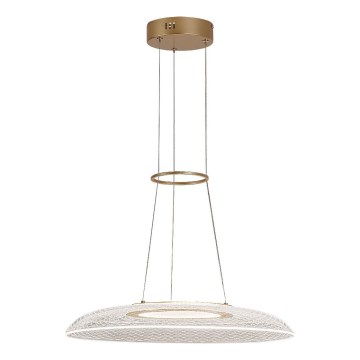 Rabalux - LED pakaramais gaismeklis uz kabeļa LED/24W/230V 3000K