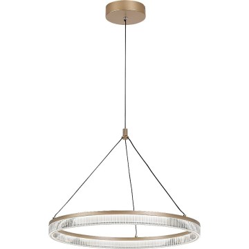 Rabalux - LED regulējamā lustra uz troses LED/24W/230V 3000-6500K + tālvadība