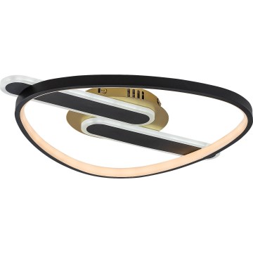 Rabalux - LED regulējams griestu gaismeklis LED/60W/230V 3000-6000K 53x45 cm + tālvadība