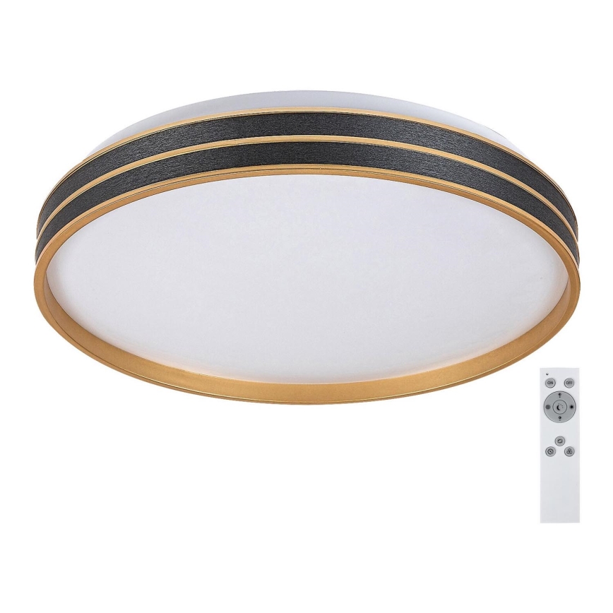 Rabalux - LED regulējams griestu lukturis LED/24W/230V 3000-6500K Ø 39 cm + tālvadības pults