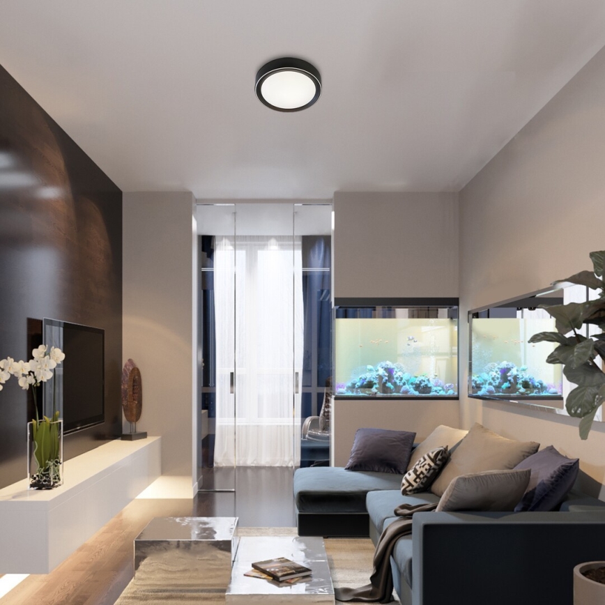 Rabalux - LED RGB Aptumšojama griestu lampa LED/24W/230V 3000-6000K + tālvadības pults