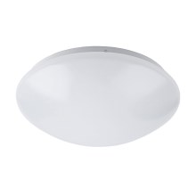 Rabalux - LED vannas istabas griestu gaismeklis LED/24W/230V IP44