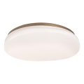 Rabalux - LED vannas istabas griestu gaismeklis LED/24W/230V IP44 Ø 41 cm