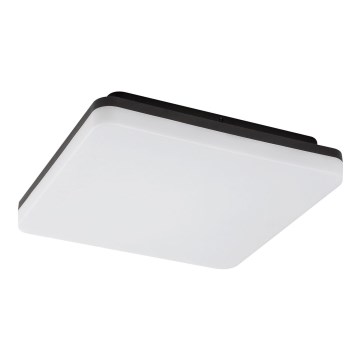 Rabalux - LED vannas istabas griestu gaismeklis LED/24W/230V IP54 28x28 cm