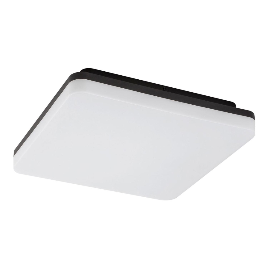 Rabalux - LED vannas istabas griestu gaismeklis LED/24W/230V IP54 28x28 cm