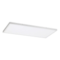 Rabalux - LED Virsapmetuma panelis LED/80W/230V 4000K 120x60 cm