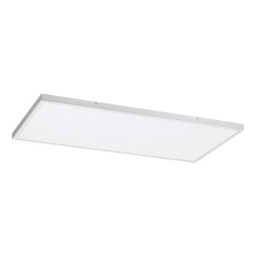 Rabalux - LED Virsapmetuma panelis LED/80W/230V 4000K 120x60 cm