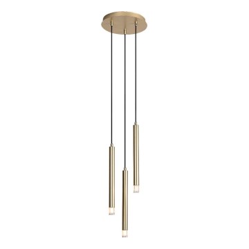 Rabalux - Lustra ar auklu 3xG9/5W/230V zelta
