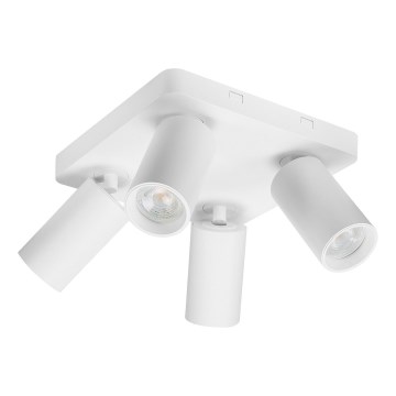 Rabalux - Prožektoru gaismeklis 4xGU10/7W/230V balts