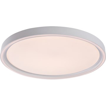 Rabalux - regulējama LED griestu lampa LED/31W/230V IP40 3000–6500K Ø 41,5 cm + tālvadības pults