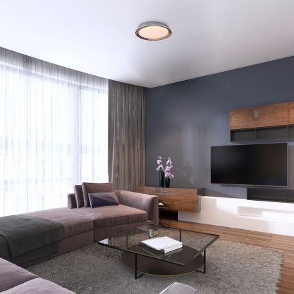 Rabalux - LED dimējama griestu lampa LED/36W/230V Ø 51,5 cm