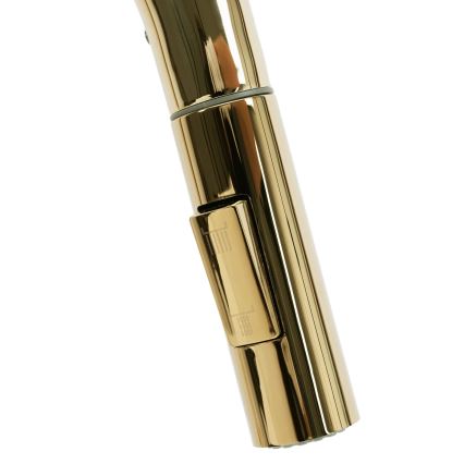 REA-B0669 - Izlietnes jaucējkrāns ar izvelkamu izsmidzinātāju FRESH 39,5 cm zelta