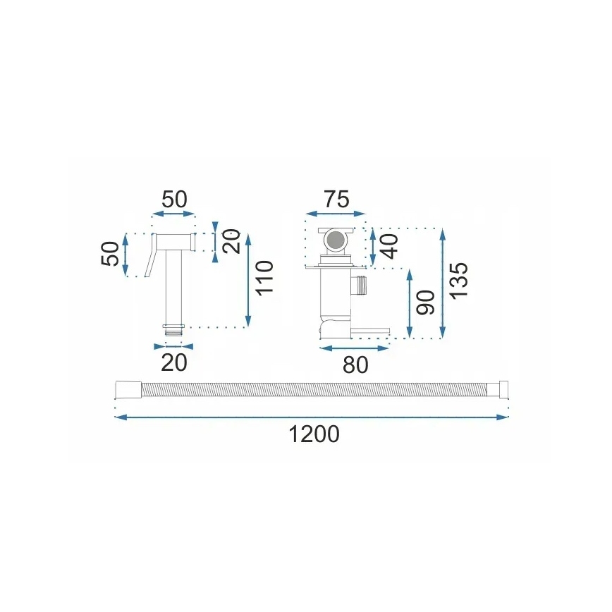 REA-B6311 - Bidē jaucējkrāns ar rokas dušu slēptai montāžai LUNGO, ar matētu zelta apdari