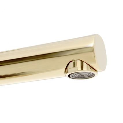 REA-B8803 - Zelta izlietnes jaucējkrāns TESS, 31,5 cm