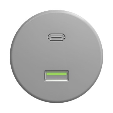 Reblig - Retro USB kontaktligzda A+C bez rāmja, pelēka