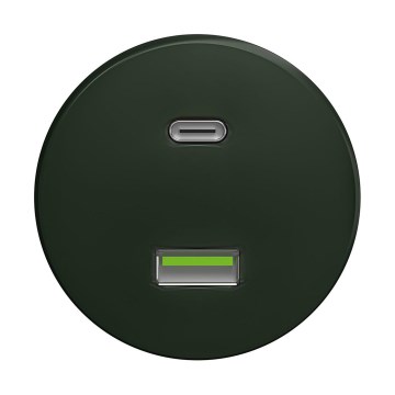 Reblig - Retro USB kontaktligzda A+C bez rāmja zaļa