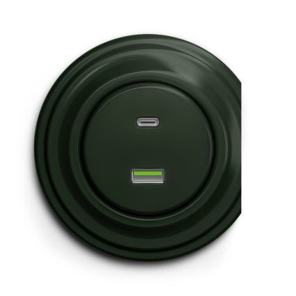 Reblig - Retro USB kontaktligzda A+C bez rāmja zaļa