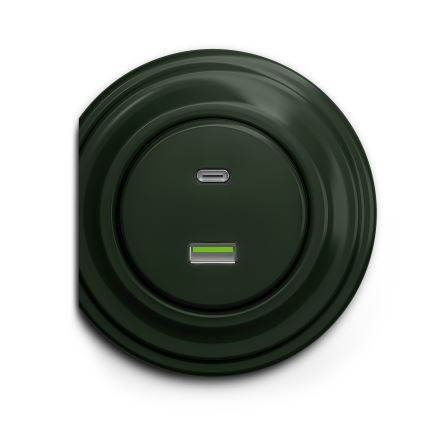 Reblig - Retro USB kontaktligzda A+C bez rāmja zaļa