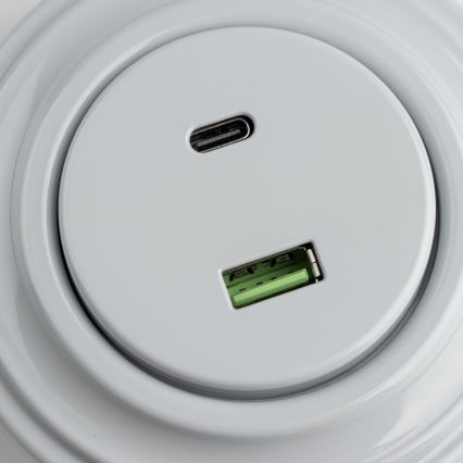Reblig - retro USB ligzda A+C ar rāmi, pelēka