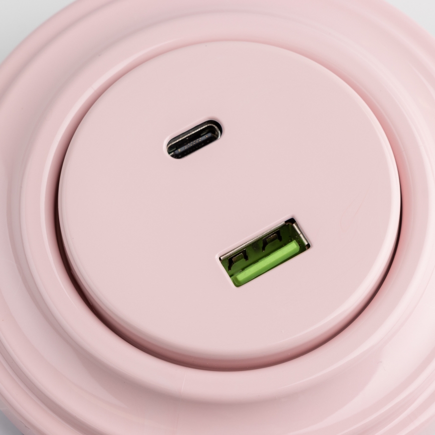 Reblig - Retro USB rozete A+C ar rāmi, vecrozā