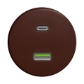 Reblig - Retro USB rozete A+C bez rāmja, brūna