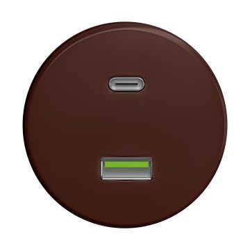 Reblig - Retro USB rozete A+C bez rāmja, brūna
