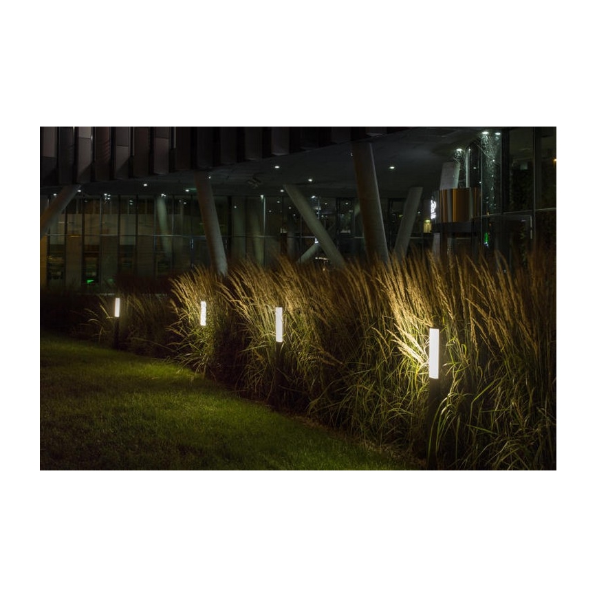RED - Design Rendl - R10548 - LED Āra lampa VADIS LED/8W/230V IP54