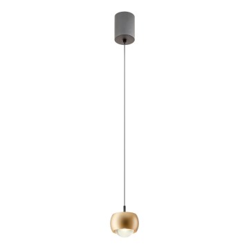 Redo 01-3547 - LED Lustra ar auklu AVES LED/12W/230V d. 9,6 cm CRI 90 zelta