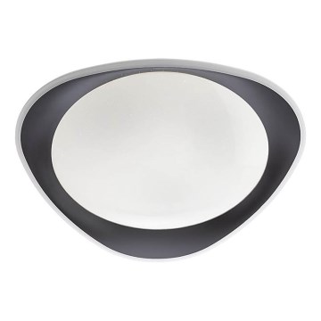 Redo 05-922 - LED Griestu lampa VERENA LED/24W/230V antracīta