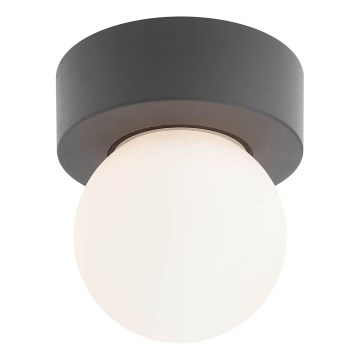 Redo 90641 - Āra griestu lampa BULK 1xE27/28W/230V IP44 antracīta