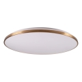 Regulējama LED griestu lampa KERN LED/80W/230V 3000/4000/6000K diam. 80 cm zeltaina + tālvadība