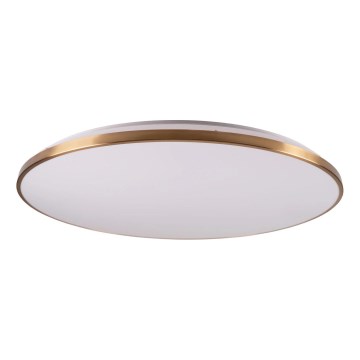Regulējama LED griestu lampa KERN LED/80W/230V 3000/4000/6000K diam. 80 cm zeltaina + tālvadība