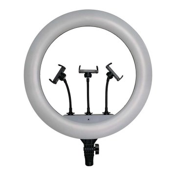 Regulējama LED lampa ar statīvu un turētāju vlogošanai LED/55W/230V CRI 90 + tālvadība