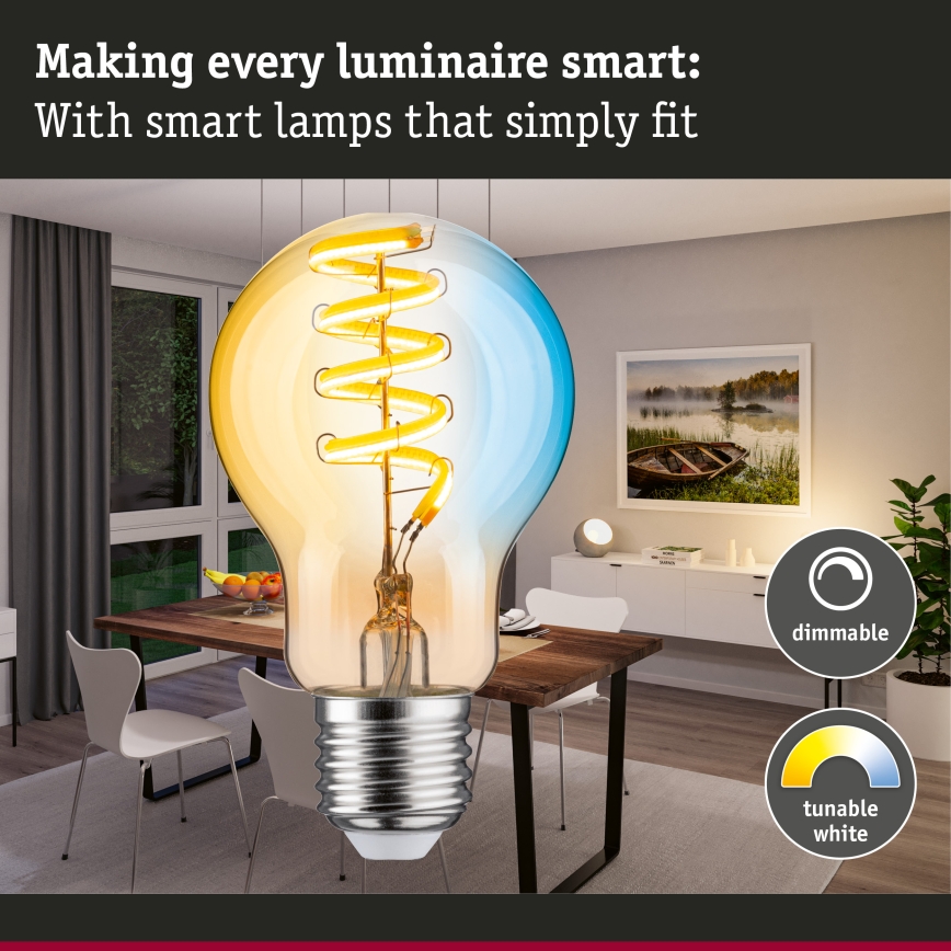 Regulējama LED spuldze FILAMENT E27/7,5W/230V 2200-5500K - Paulmann 29155