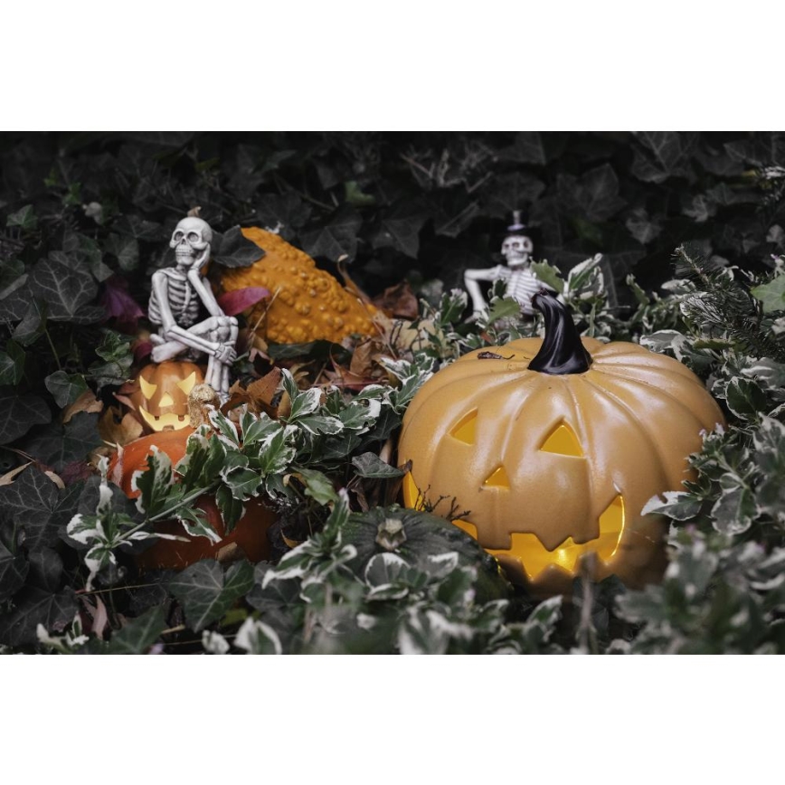 LED Rotājums HALLOWEEN LED/2xLR44/silti balta skelets ķirbī sveķi
