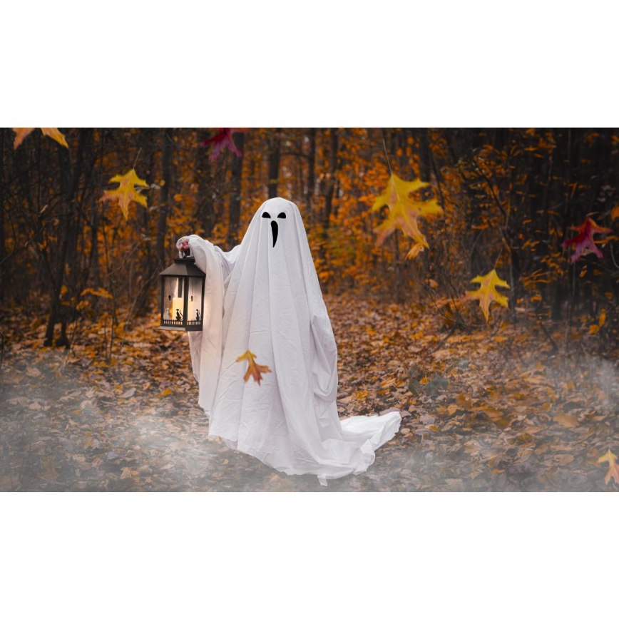 LED Rotājums HALLOWEEN LED/3xAAA/silti balta laterna