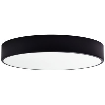 Rezerves stikls griestu lampai CLEO 50 cm stikls