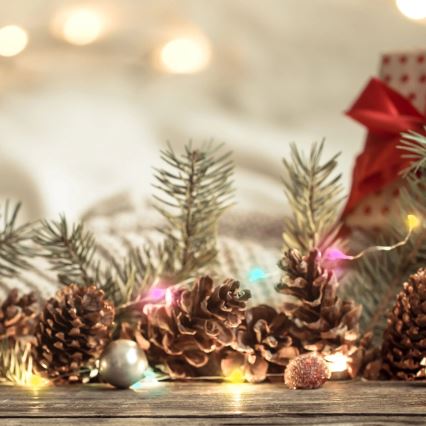 RGB LED virtene LED/10W/5V 10 m USB + tālvadības pults