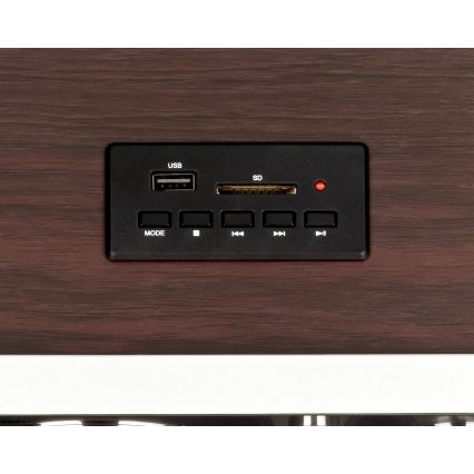 Roadstar HRA-1345NUS/WD - Radio ar FM 16W/230V