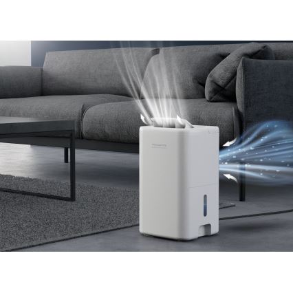 Rowenta - Gaisa mitruma noņēmējs EXTREME DRY COMPACT 3 l 300W/230V